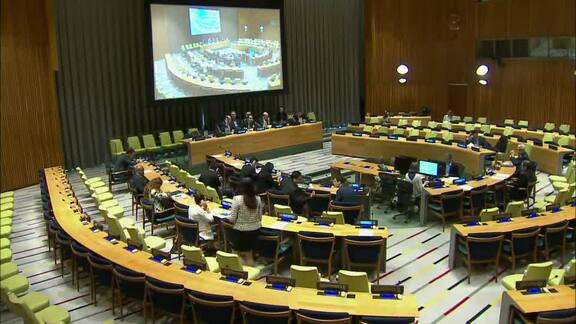 Committee on Non-Governmental Organizations 