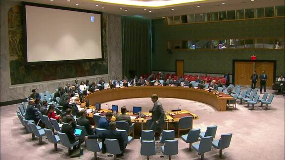 8043rd Security Council Meeting: Security Council Mission