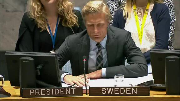 8316th Security Council Meeting: Situation in Middle East Part 2
