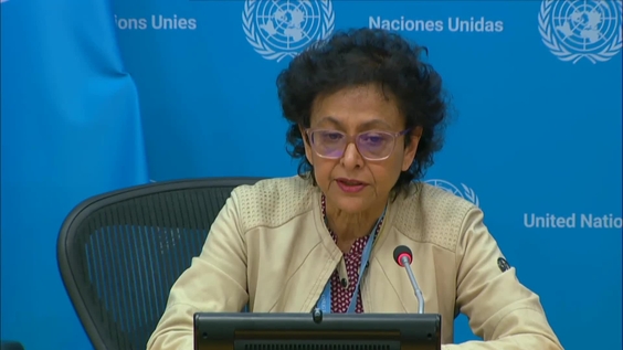 Press Conference: Special Rapporteur on the promotion and protection of the right to freedom of opinion and expression, Irene Khan