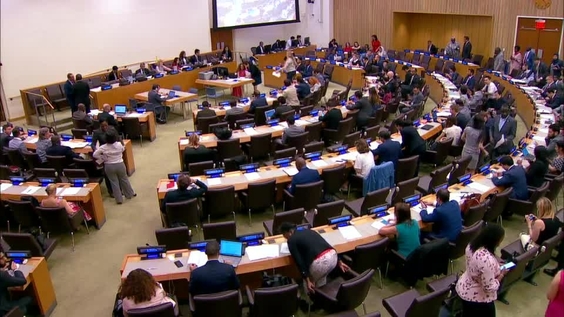 Fifth Committee, 41st meeting - General Assembly, 73rd session, Second Part of resumed  session