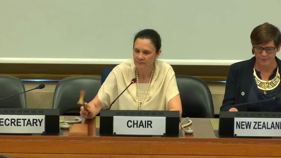 Consideration of New Zealand - 1616th Meeting 70th Session Committee on the Elimination of Discrimination Against Women 