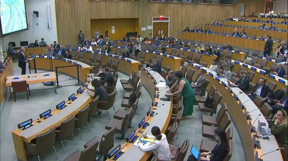 联合国大会第77届会议 - 第88次全体会议