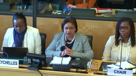 579th Meeting, 39th Session, Committee on Migrant Workers (CMW)