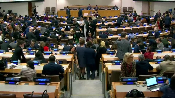 Third Committee, 44th meeting - General Assembly, 74th session