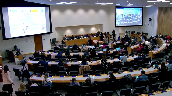 30 Years of Women's Political Participation. Towards Full Parity (CSW69 Side Event)