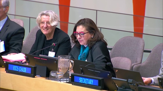 (3rd meeting) 24th session of the Committee of Experts on Public Administration - Economic and Social Council