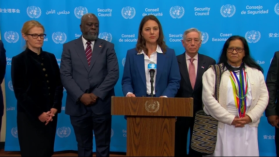 ICC Caucus on the situation in Sudan and South Sudan - Security Council Media Stakeout