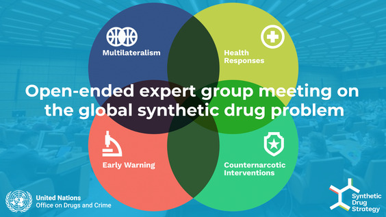 Open-ended intergovernmental expert group meeting on the global synthetic drug problem [Meeting 1]