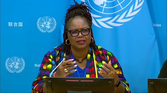 Press Conference: The Independent International Fact-Finding Mission for the Sudan