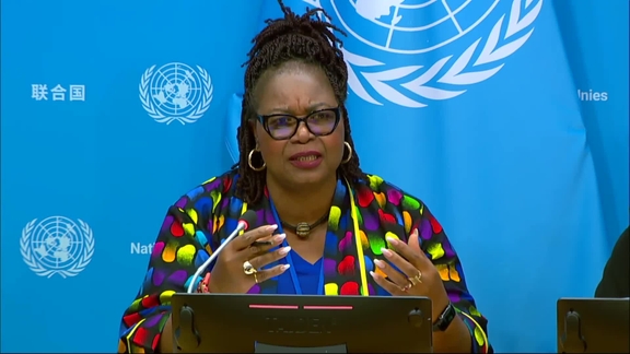Press Conference: The Independent International Fact-Finding Mission for the Sudan