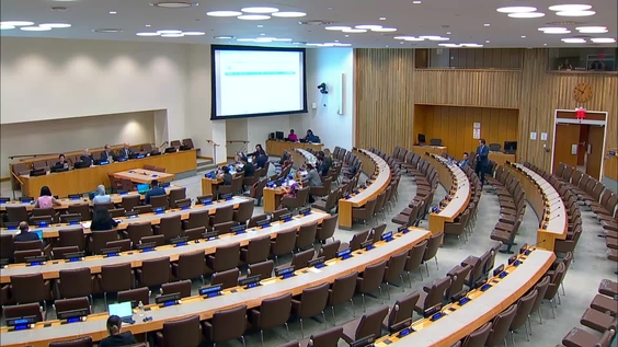 (23rd plenary meeting) Committee on Non-Governmental Organizations, 2026 resumed session, Economic and Social Council