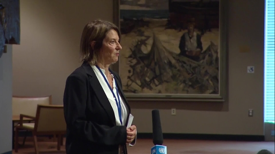 Security Council Media Stakeout (Norway)