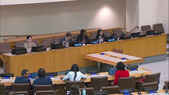 19th meeting, Committee on Non-Governmental Organizations - 2023 resumed session, Economic and Social Council