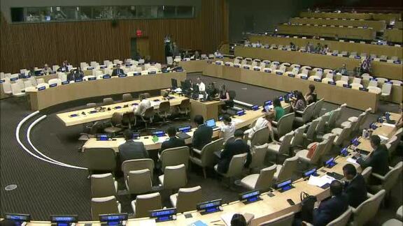 46th Meeting of ECOSOC 2016 Session: Coordination and Management 