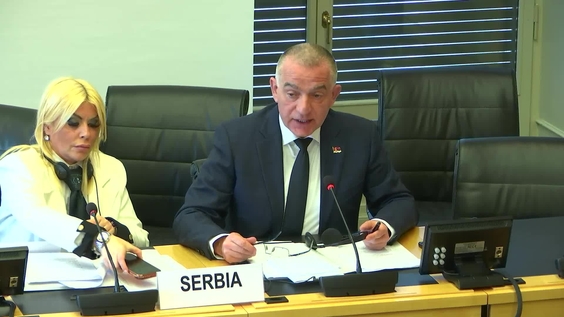 3199th Meeting, 117th Session, Committee on the Elimination of Racial Discrimination (CERD)