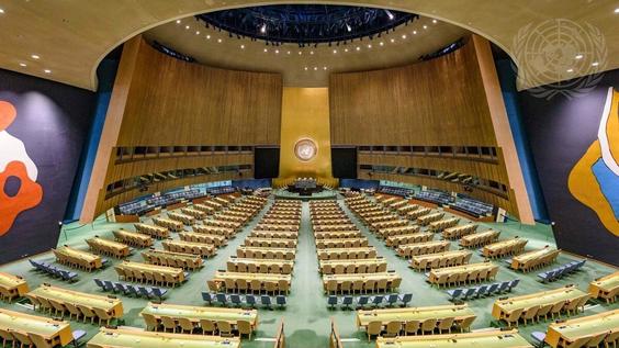 General Assembly: Eleventh Emergency Special Session (Ukraine) - 8th plenary meeting