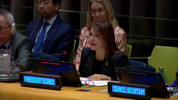Economic and Social Council: Partnership Forum, 2024 session (SDG action segments for Goal 13, Goal 16 and Closing Segment)