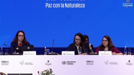 High Level Segment: Plenary at COP16 – United Nations Biodiversity Conference 2024