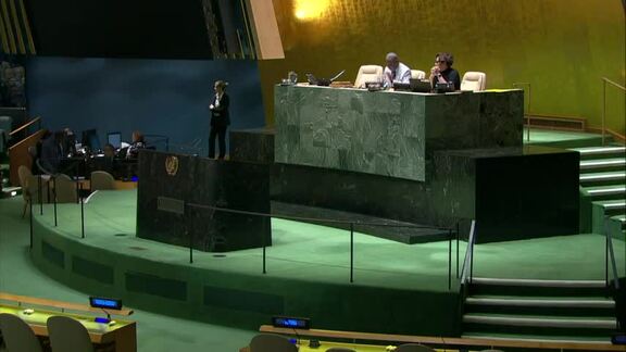 20th Plenary Meeting of General Assembly 74th Session