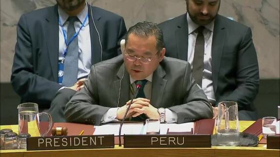 8245th Security Council Meeting: Peacebuilding and Sustaining Peace