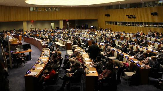 (5th plenary meeting) 57th session of the Commission on Population and Development, CPD57