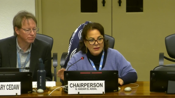 2188th Meeting, 92nd Session, Committee on the Elimination of Discrimination against Women (CEDAW)