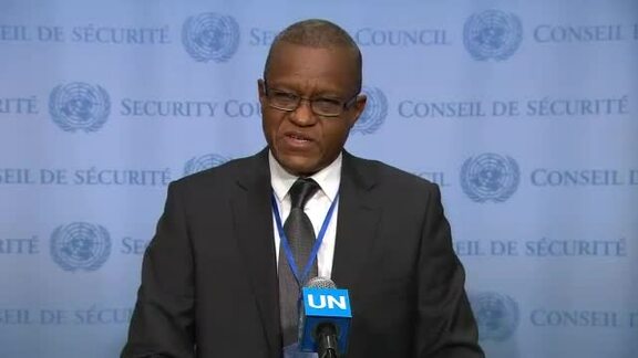 Head of MONUSCO Briefs Press