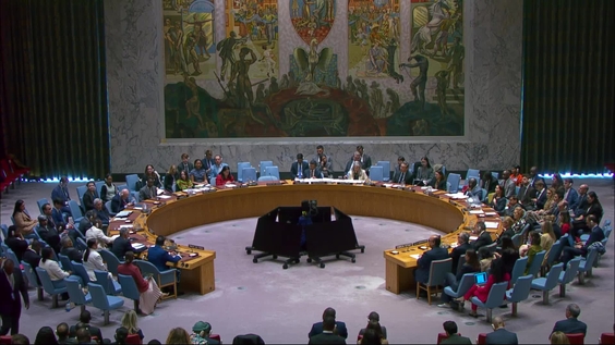 The question concerning Haiti - Security Council, 10144th meeting