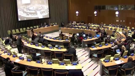 Sixth Committee, 13th meeting - 71st General Assembly