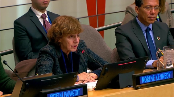 Economic and Social Council: 7th plenary meeting (Coordination Segment), 2026 session