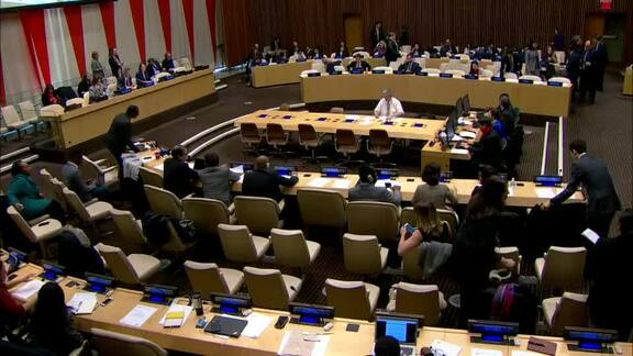 6th Plenary Meeting of Economic and Social Council Session 2019