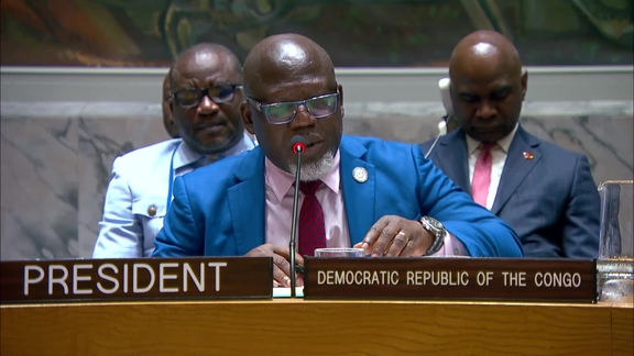 Strengthening the mechanisms for the peaceful settlement of disputes: follow-up to Security Council resolution 2788 (2025) - Security Council, 10201st meeting