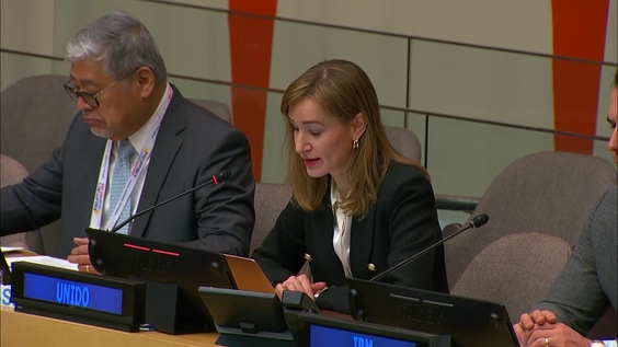 SDG Action Segment for Goal 9 & 11 - Economic and Social Council: Partnership Forum, 2026 session