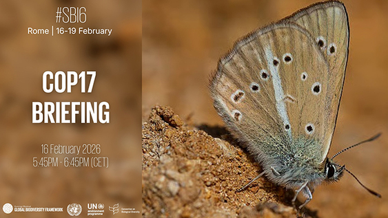 Food and Agriculture Organization of the United Nations (FAO)