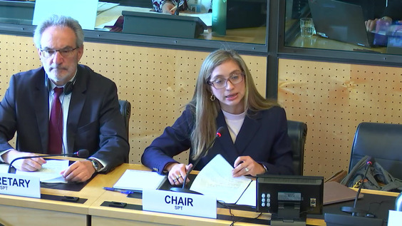 2182nd Meeting, 82nd Session, Committee Against Torture (CAT)