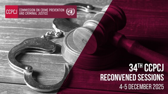[Separate Meeting] CCPCJ 34th Reconvened Session – 5 December 2025