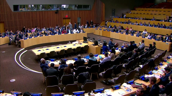 Economic and Social Council: 14th plenary meeting, 2025 session