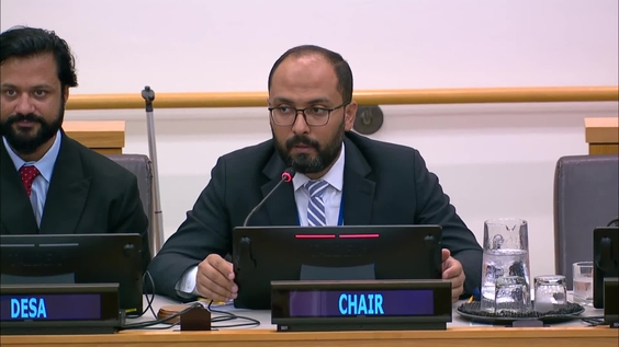 Intergovernmental Negotiating Committee on the United Nations Framework Convention on International Tax Cooperation - Second Substantive Session 2025, 5th meeting