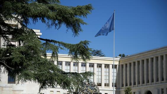 The Office of the High Commissioner for Human Rights is the leading United Nations entity in the field of human rights, with a unique mandate to promote and protect all human rights for all people