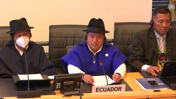 3111th Meeting, 114th Session, Committee on the Elimination of Racial Discrimination (CERD)