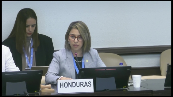 3231st Meeting, 118th Session, Committee on the Elimination of Racial Discrimination (CERD)
