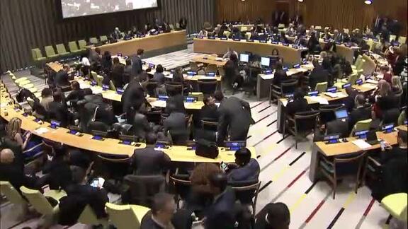 Economic and Social Council 6th Plenary Meeting