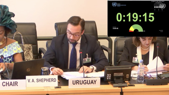 2989th Meeting, 110th Session, Committee on the Elimination of Racial Discrimination (CERD)