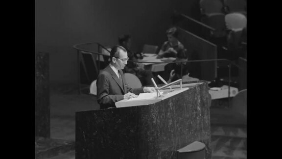 971st, 972nd Plenary Meetings of General Assembly: 15th Session