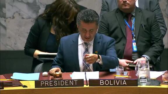8386th Security Council Meeting: Letters from Ukraine and Russian Federation