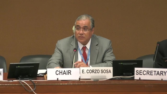 494th Meeting, 35th Session, Committee on Migrant Workers (CMW)