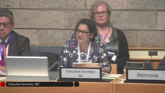 Preparatory Meeting for INC-3 (part 1)