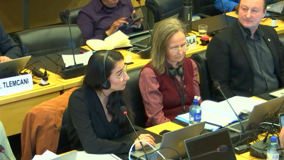 3174th Meeting, 116th Session, Committee on the Elimination of Racial Discrimination (CERD)