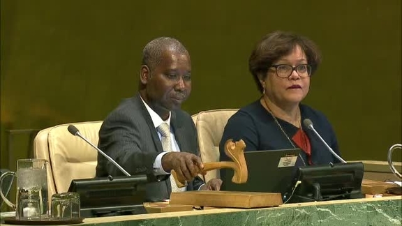 81st Plenary Meeting of General Assembly 71st Session